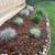 Gardener,Lanscape services,maitenance,masonry work,farm & garden 2 thumbnail