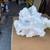 X-Large Natural Brain White Coral over 25Lb 8 thumbnail