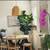 10 buckets= interior flat paint "natural choice color/35 dlr ea [M] ca 1 thumbnail