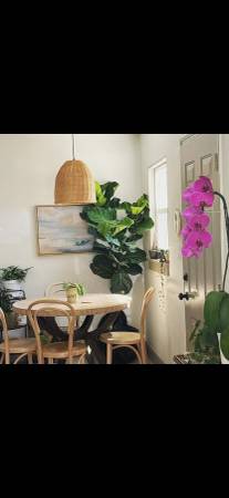10 buckets= interior flat paint "natural choice color/35 dlr ea [M] ca 1