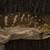 Leachie Gecko 1 thumbnail