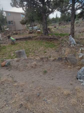 $500 / 1000ft2 - RV Spot Beautiful Mt. Shasta view63678184584067122