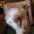 Teddywidder Bunnies 4 thumbnail