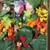 Wreath Making, All Seasons Wreath, Brand New in Original Box 3 thumbnail