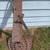 Authentic Antique Pressed Steel Horse-Drawn Implement Seat Stamped 150 4 thumbnail