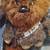 Many decor and home items for sale- prices vary 6 thumbnail