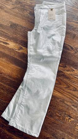 Metalic Silver Pants 1