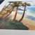 16" x 12" Oil on linen by Jim Wodark. "Peeka boo Palms". 2008 5 thumbnail