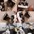 Maintenance/Handyman/Junk Removal 443-963-6279 15 thumbnail