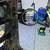 Compund bow setup 5 thumbnail