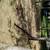 Gutter cleaning, pine needle / mulch, yard clean up 8 thumbnail