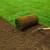 Sod installation(i take credit cards ) 2 thumbnail