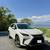 2018 Lexus RX 450H L 1 thumbnail