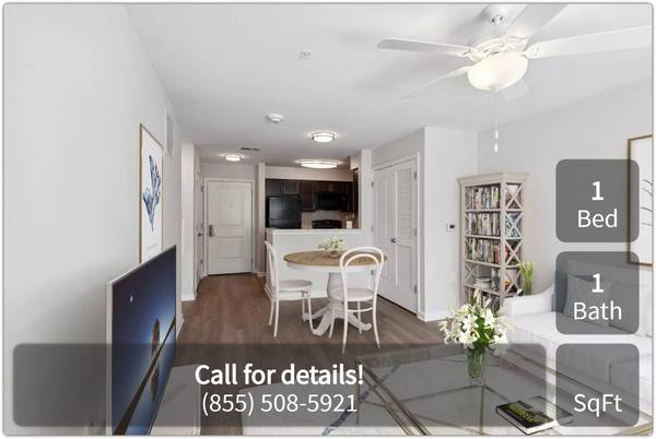 $585 / 1br - ¡Vecindario tranquilo e increíbles comodidades! ¡1 habitación / 1 baño! (Queenstown - Parque Natural Terrapin)63806862987651120