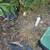 Need help with yard work - Gardener needed 11 thumbnail