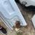 Fridgidaire fridge -uhaul good compressor 8 thumbnail