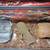 Ball Python 8 thumbnail