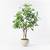 SALE: Studio McGee Artificial Ficus Tree 1 thumbnail