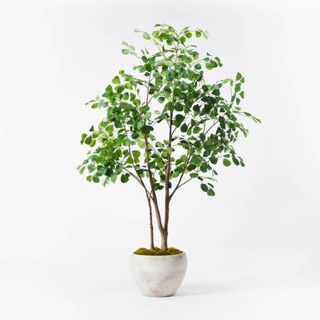 SALE: Studio McGee Artificial Ficus Tree 1