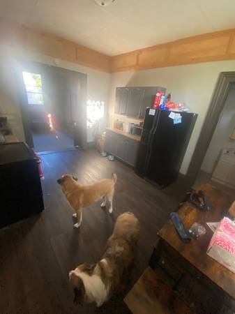 $945 / 2br - 2 bed 1 bath Dog Friendly Apartment in downtown Eau Claire (Eau Claire)63845959608323123