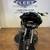 2017 Harley Davidson Road Glide Special FLTRXS 107 Milwaukee Eight Bag 3 thumbnail