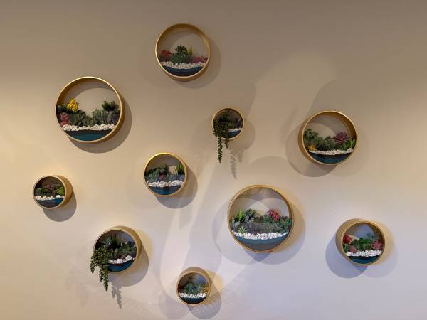 Wall Hanging Planters 1