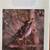 Mint Hard Cover Photography Book “Wings of the North” Candace Savage 2 thumbnail