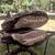 Mens Motorcycle Boots Size 11 5 thumbnail