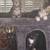 Dog Friendly Kittens 4 thumbnail