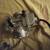 Carburetor Carb, model 15004-0041, is designed for the Kawasaki Prair 4 thumbnail