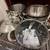AMAZING MOVING SALE - FRANKLIN LAKES 19 thumbnail