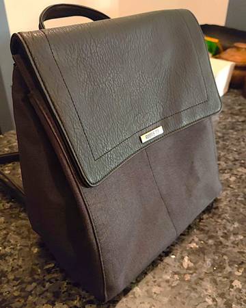 Insulated Roots lunch backpack 1