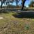 Cemetery Burial Spaces 7 thumbnail