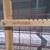 North States Baby 50" Extra Wide 31" Extra Tall Wire Mesh Wood Petgate 2 thumbnail