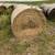 Round bales 1 thumbnail