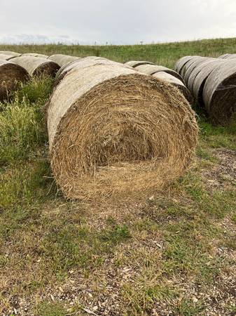 Round bales 1