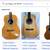 Guitar Ovation 8 thumbnail