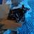 Gold Sharking 2000 Fishing Reel Ultra-Light Saltwater & Freshwater New 2 thumbnail