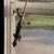 Chameleon 2 thumbnail