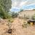 2203 Bordeaux | A Must See! REDUCED! 19 thumbnail