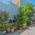 1018 GILMAN AVE, SAN FRANCISCO CA 94124 - FOR SALE 4 thumbnail