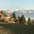 Fully furnished, one bedroom cottage, utilities included 17 thumbnail