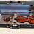 Nice  Violin 1 thumbnail