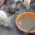 Ducklings 1 thumbnail