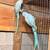 Rosellas & Ringnecks 20 thumbnail