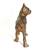 Cast Iron Boston Terrier & Scottie Dog Door Stops 6 thumbnail