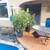 EXPERIENCED LANDSCAPER-CLEAN-UPS-HEDGES-TREE TRIMMING-TREE REMOVAL- BOCA RATON 19 thumbnail