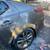 Dent Quest moble body work 23 thumbnail