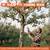 Telescoping apple fruit tree picker up to 26 ft long extendable 5 thumbnail