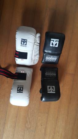 taekwendo gloves 1